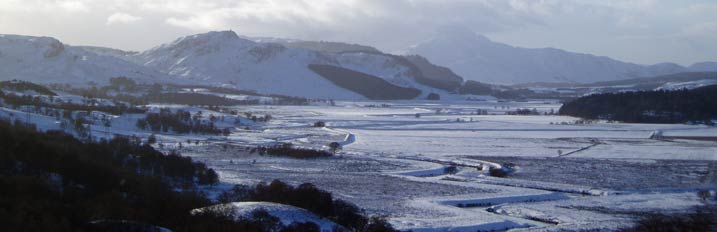 The Laggan Forest Trust - Activities