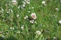 DSCF1210.JPG - Jamie Pond